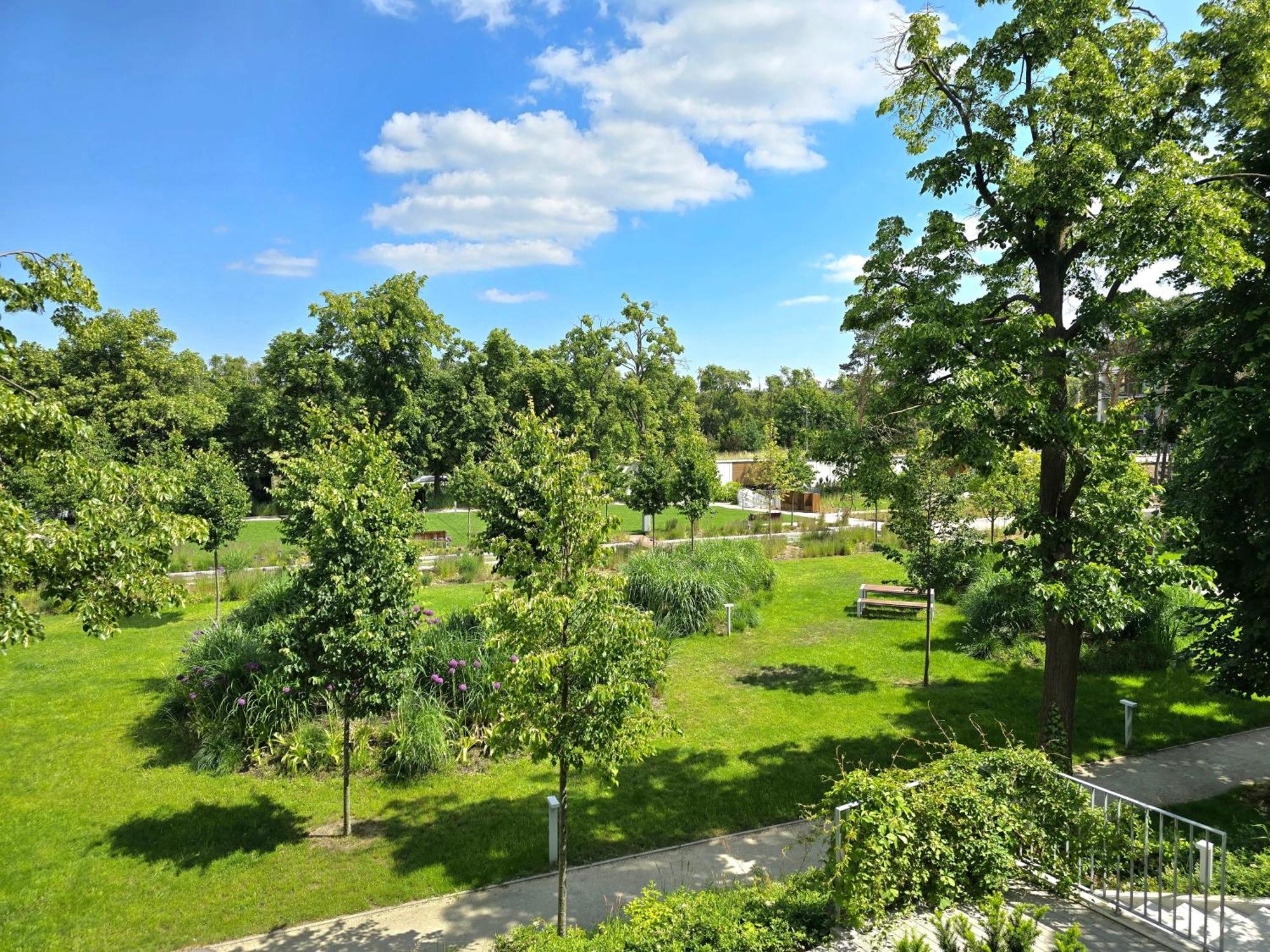 Lägenhet Morzeapartament